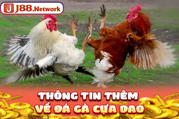 Thông tin thêm về đá gà cựa dao